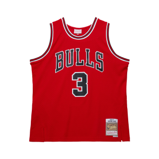 Mitchell Ness x Nba Chicago Bulls 2016-17 Dwyane Wade jersey