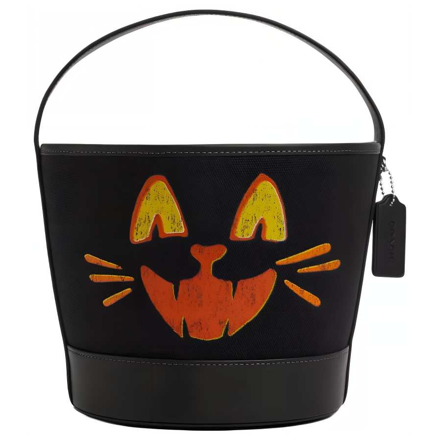 COACH Canvas With Smooth Leather Bucket Bag Handbag Small Unisex Black