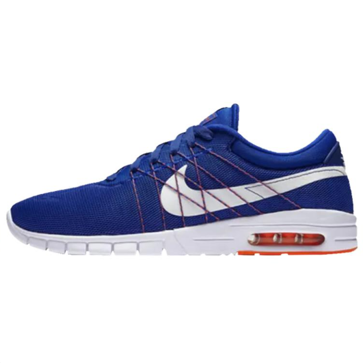 Nike Nike Eric Koston Casual Shoes Men's Blue