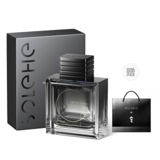 SOLEHE Men's Perfumes Men's