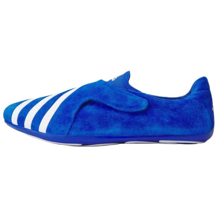 Adidas Adidas x Pharrell Williams Vario Flat Earther Casual Shoes Unisex Blue White