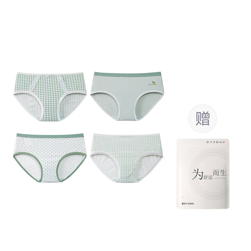 Hodo Underpants Women's 4 Pack Shopping Bag