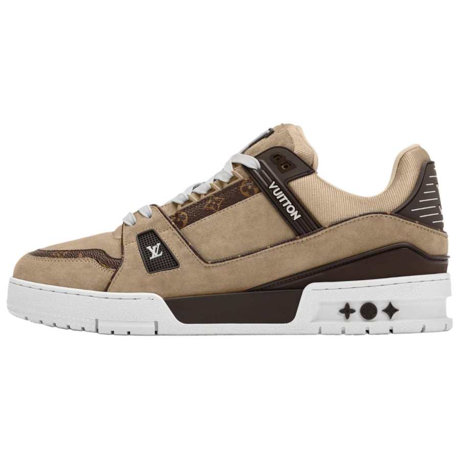 LOUIS VUITTON Trainer Low top Skateboard Shoes Men's Brown