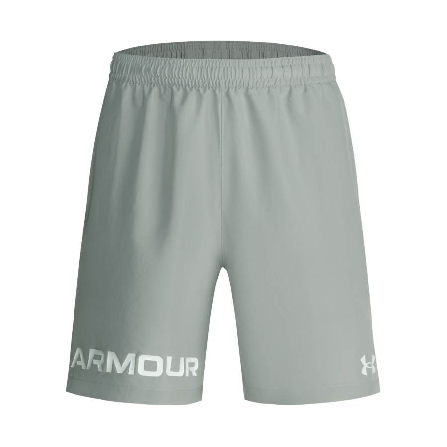 Under Armour Under Armour Shorts Men's Titanium Gray