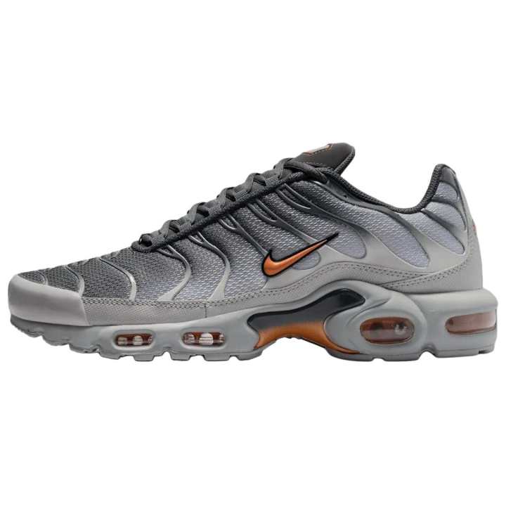Nike Nike Air Max Plus Low top Running Shoes Men's Gray