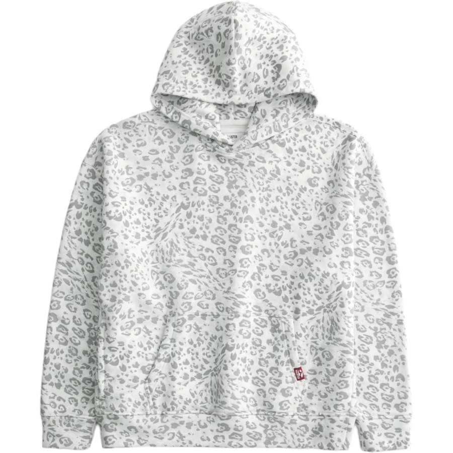 Hollister/ Sweatshirts Men's Gray Hooded Moderate
