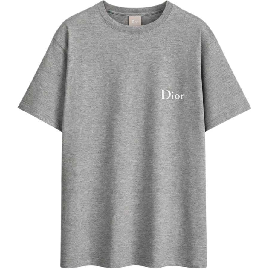 DIOR FW26 T Shirt Loose Fit Men's Gray