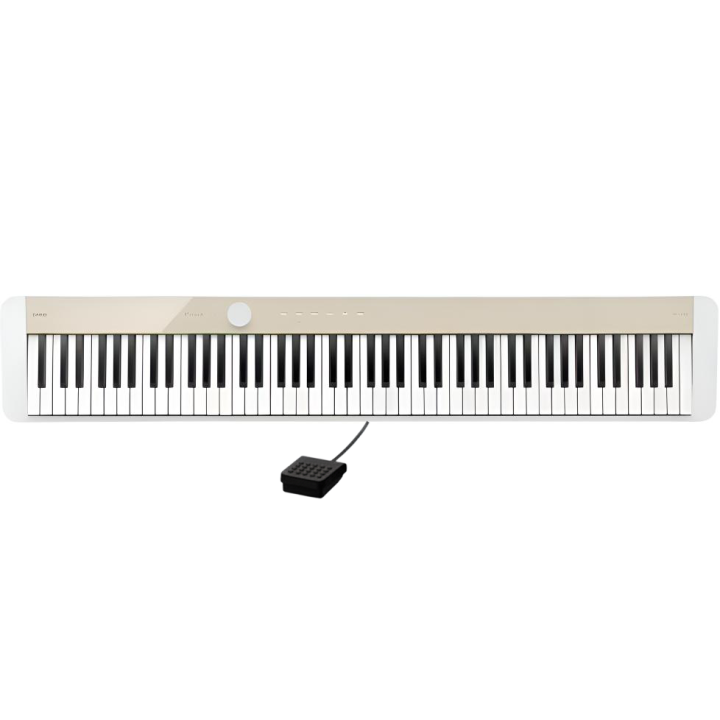 CASIO CASIO Electric Pianos Watch PX-S1100