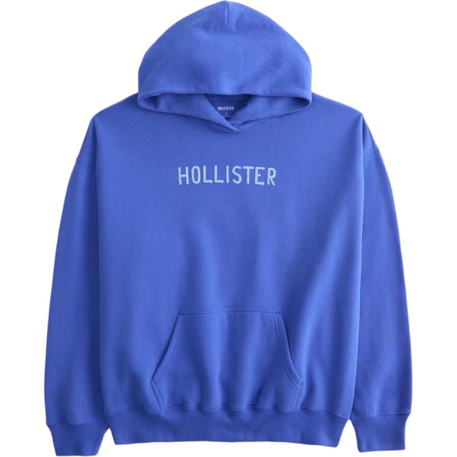 Hollister/ Sweatshirts Women's Blue Hooded Moderate