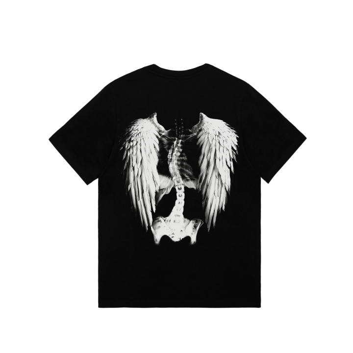Adidas Adidas MUST HAVES T Shirt Unisex