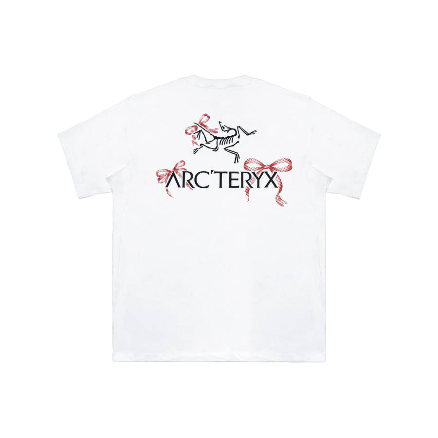 Arcteryx T Shirts Unisex White International, Suggestion Size Down Crew Neck Thin