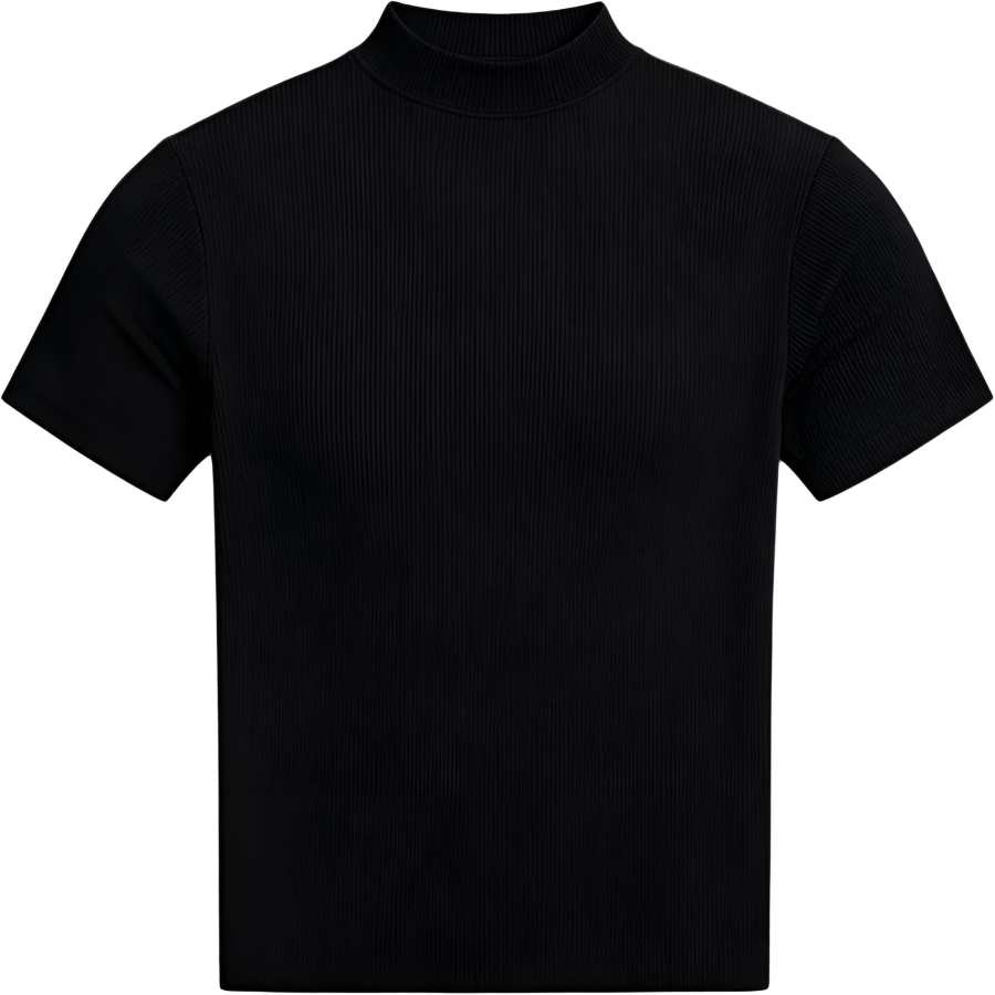 Lnga Landgre T Shirts Men's Half Turtleneck Moderate Straight Fit
