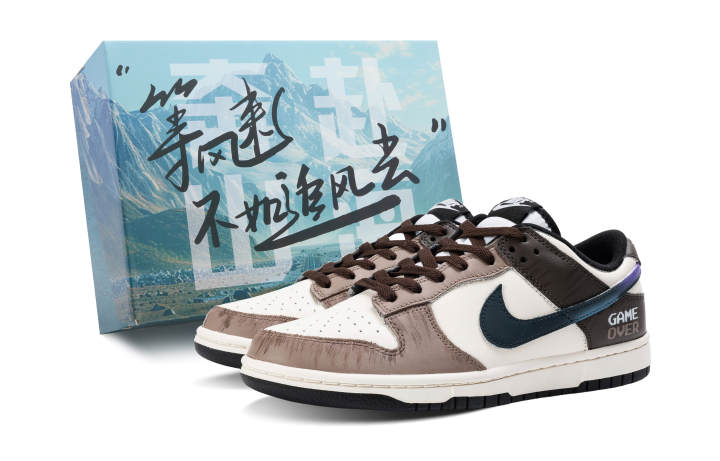 Nike Nike Dunk Leather Low top Kids' Skateboarding Shoes Beige Brown Teenagers
