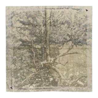 Klattermusen Scarves Unisex Multicolor