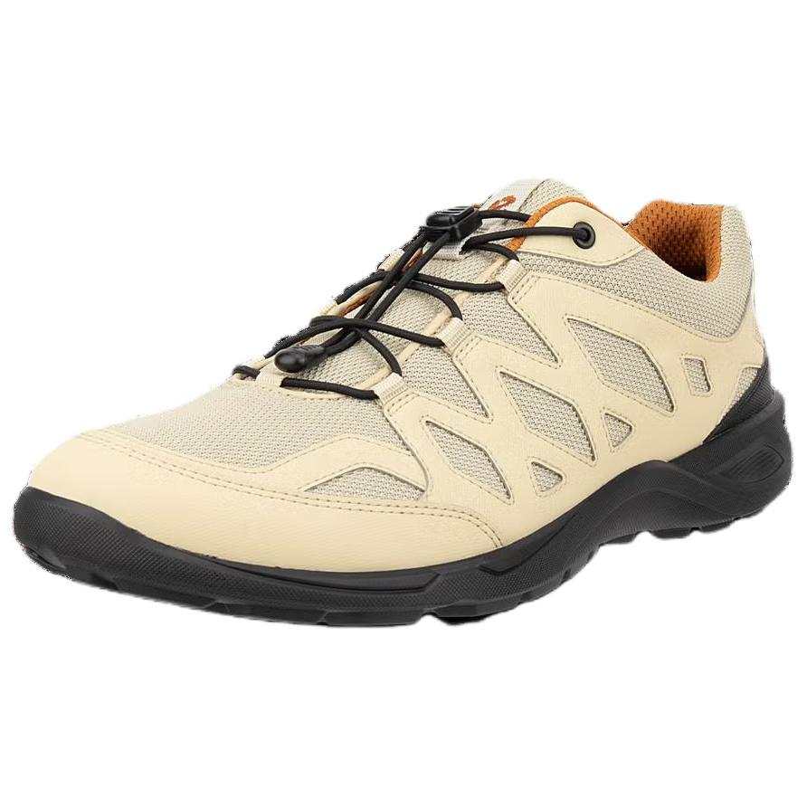 Ecco Terracruise Lt Minimalist Fashion Low top Casual Shoes Men's Beige