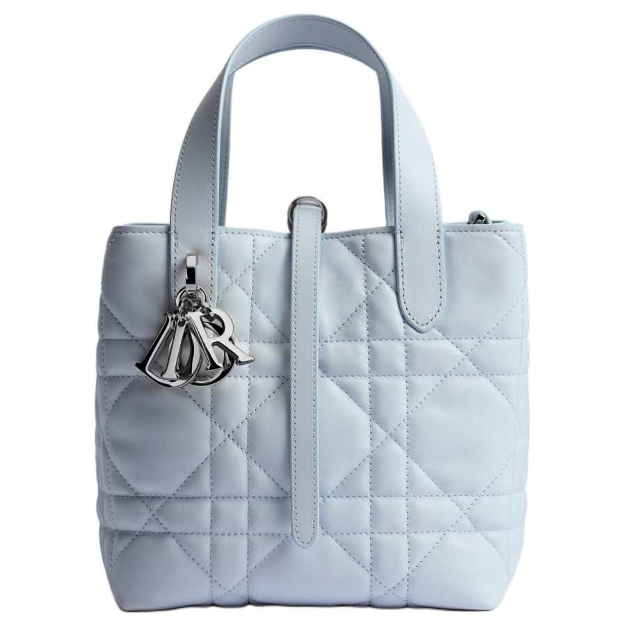 DIOR Toujours Calfskin One Shoulder Handbag Small Women's Ice Blue