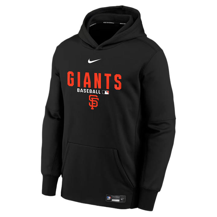 Nike Nike Kids Sweatshirts Hooded Moderate