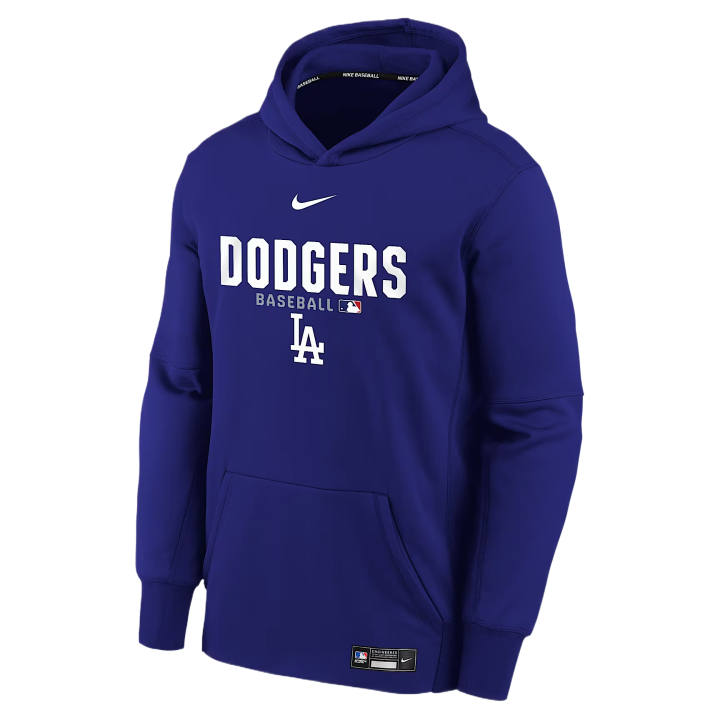 Nike Nike Kids Sweatshirts Hooded Moderate