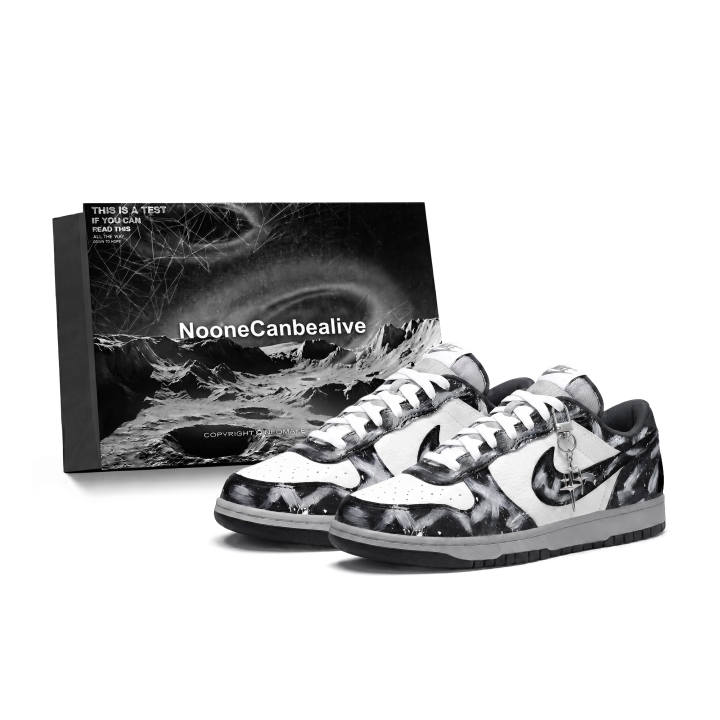 Nike Nike EBERNON Space Exploration, Stellar Anomaly Slip Resistant Abrasion Resistant Low top Skateboard Shoes Unisex