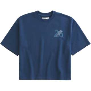 Hollister/ T Shirts Men's Blue Crew Neck Moderate Straight Fit