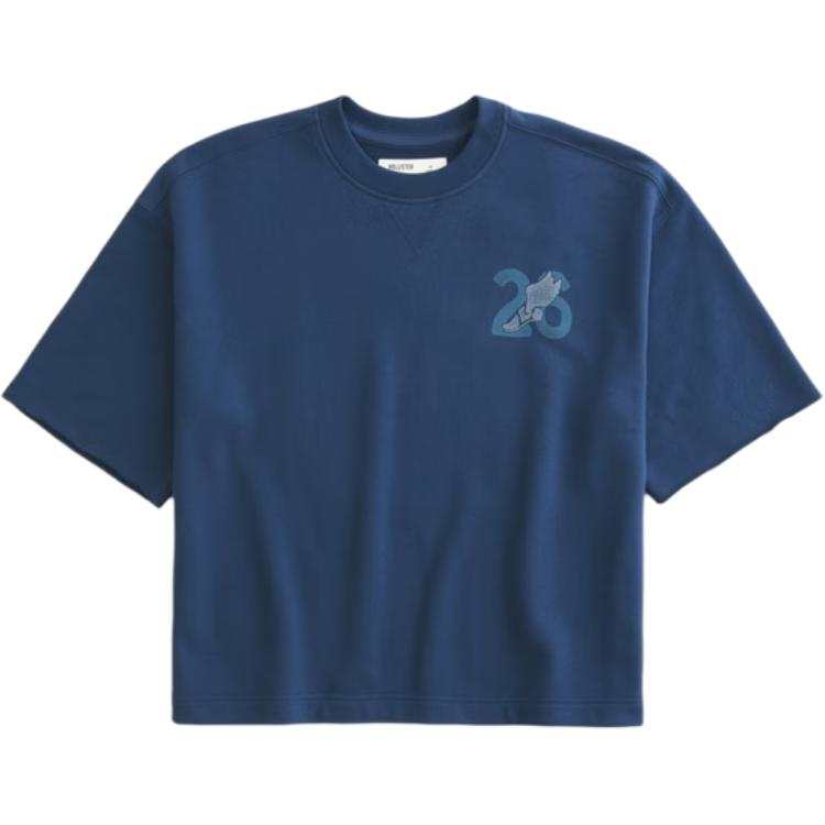 Hollister/ T Shirts Men's Blue Crew Neck Moderate Straight Fit