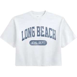 Hollister/ T Shirts Men's Gray Crew Neck Moderate Straight Fit