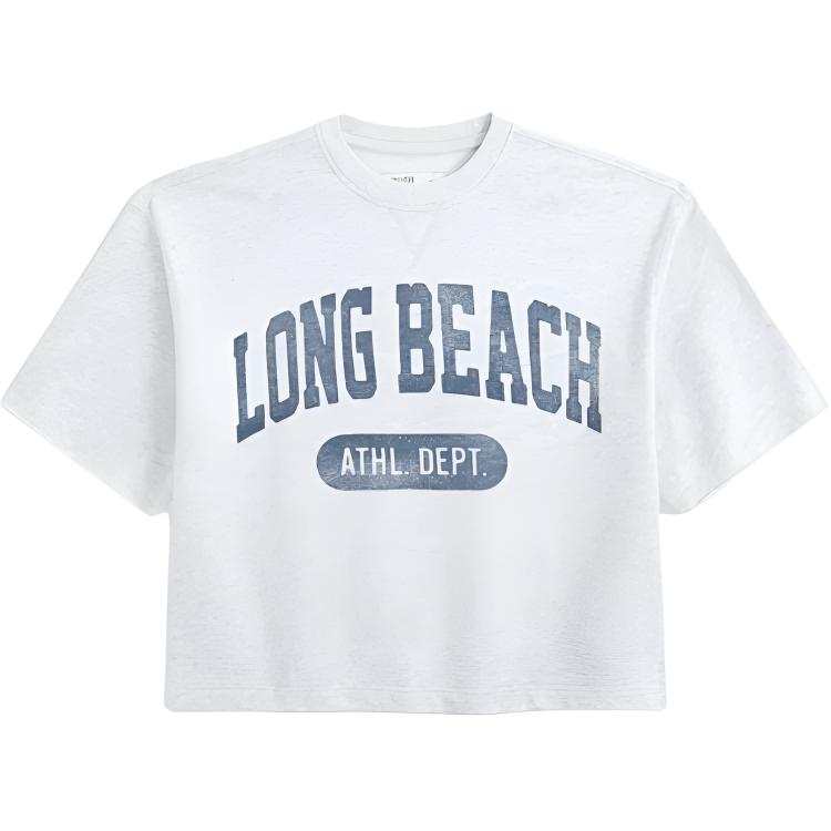 Hollister/ T Shirts Men's Gray Crew Neck Moderate Straight Fit