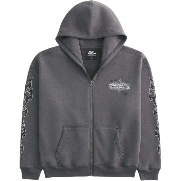 Hollister/ Sweatshirts Men's Gray Hooded Non Detachable Moderate