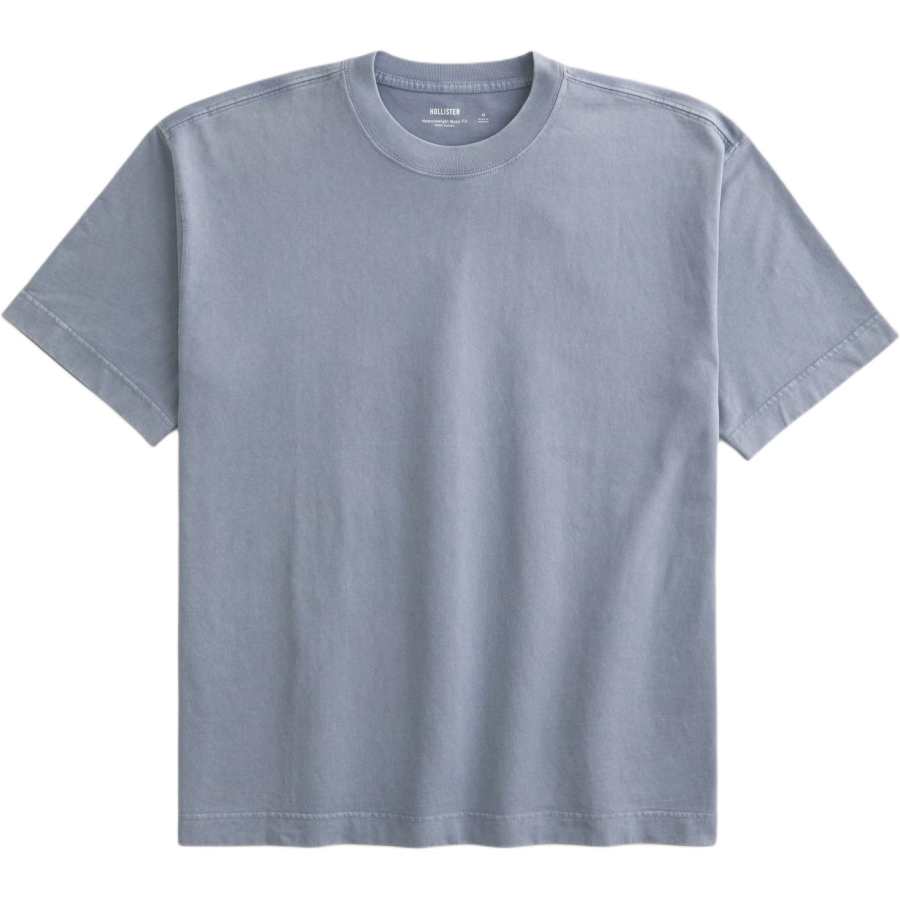 Hollister/ T Shirts Men's Blue Gray Crew Neck Moderate