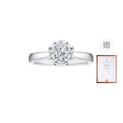 DR Platinum Diamond Ring Women's