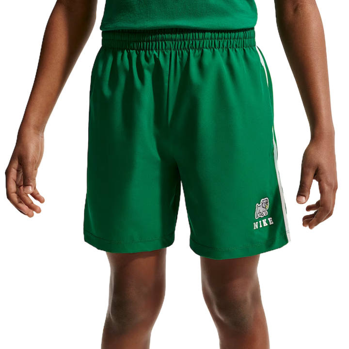 Nike Nike Kids Shorts Moderate