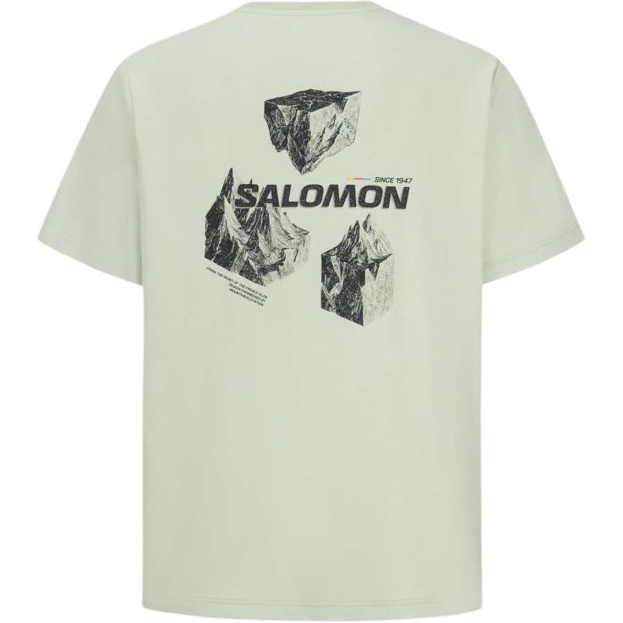 SALOMON T Shirts Men's Mist Green Crew Neck Moderate
