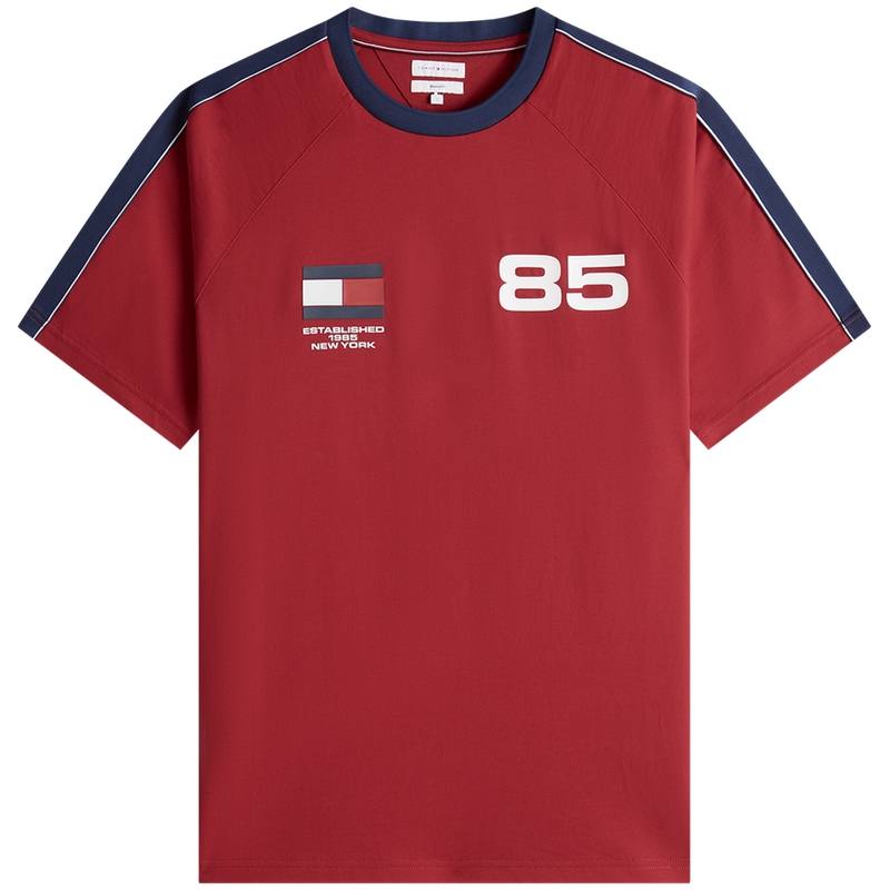 Tommy Hilfiger World Cup Collection T Shirts Men's Crew Neck Moderate