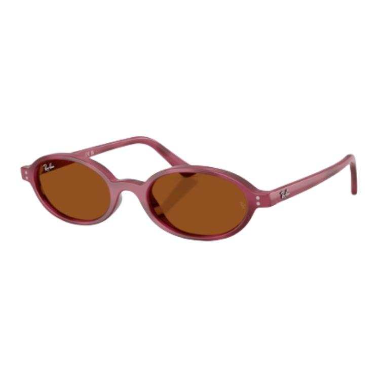 RayBan Injection Molding Oval Sunglasses Unisex Purple Tortoiseshell