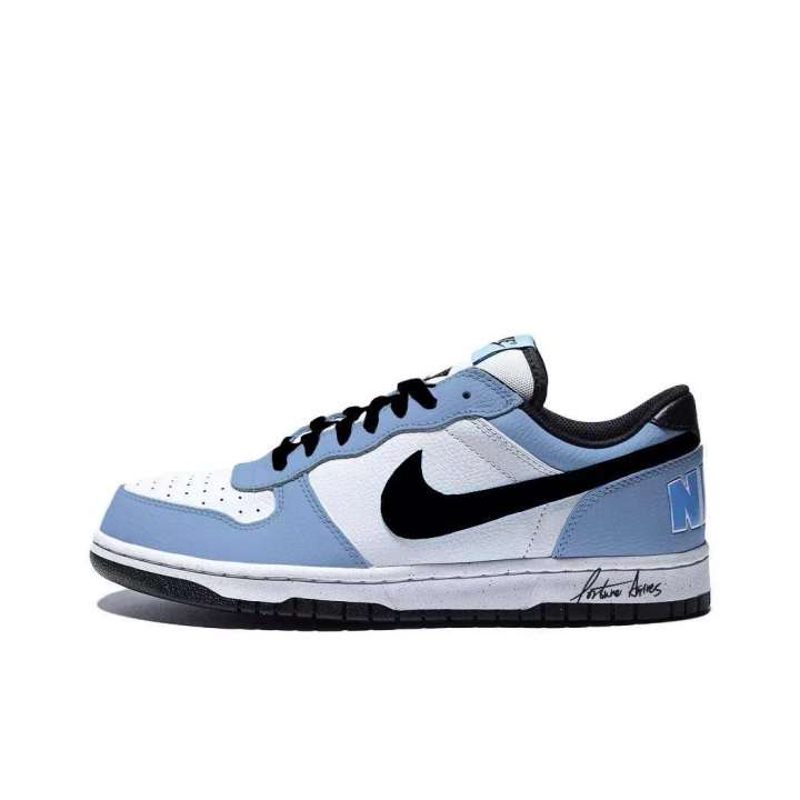 Nike Nike Big Cerulean Land Low top Skateboard Shoes Men's