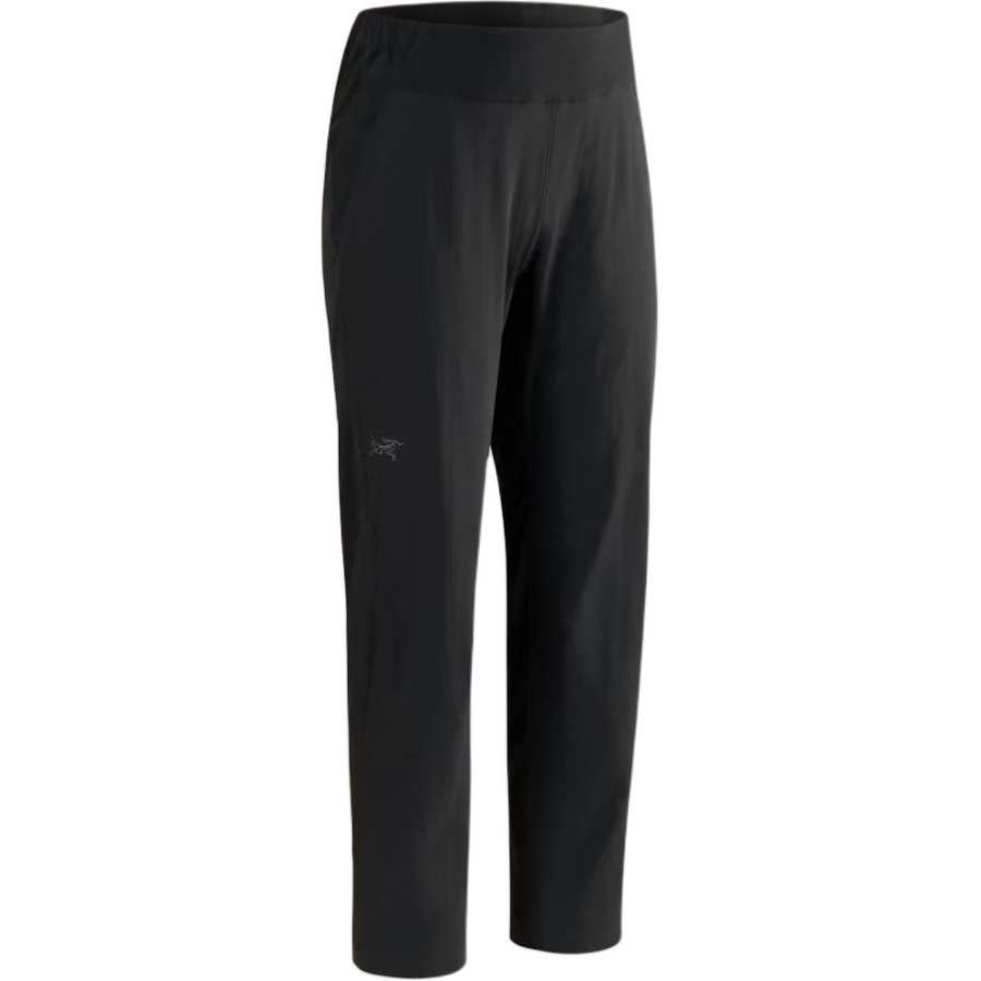 Arcteryx Daniel Arsham Casual Pants Women's