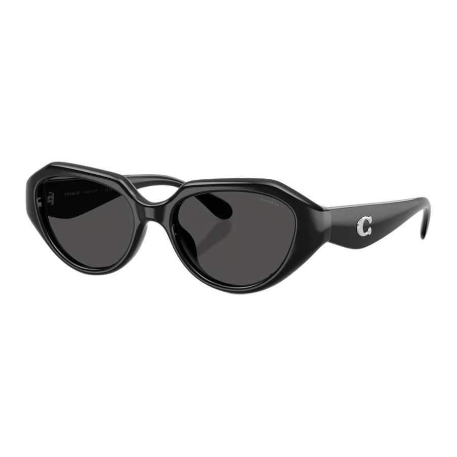 COACH COACH Plate Irregular Shape Sunglasses Unisex Black