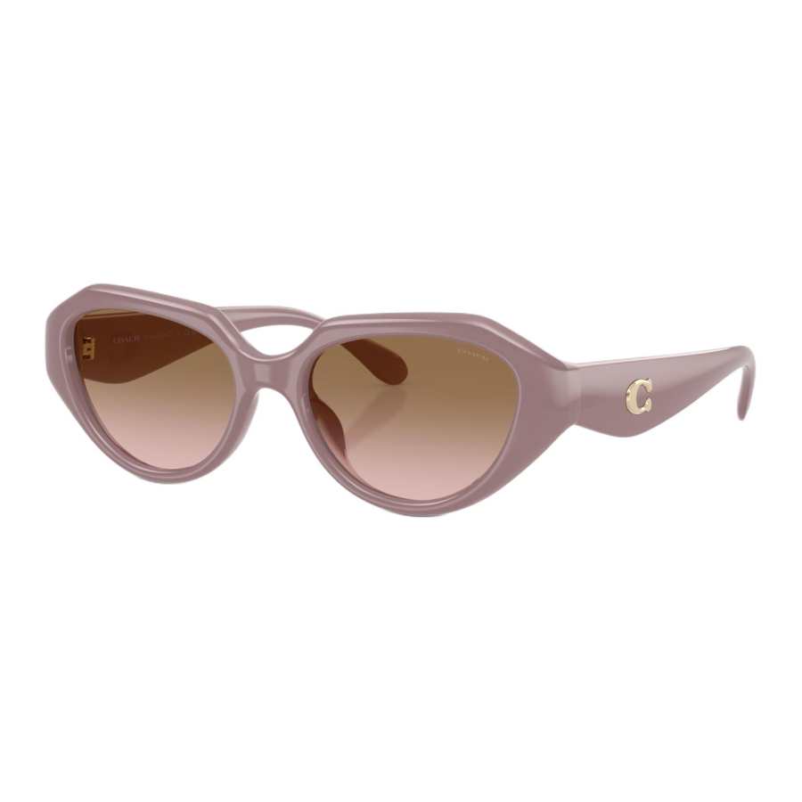 COACH COACH Plate Irregular Shape Sunglasses Unisex Violet