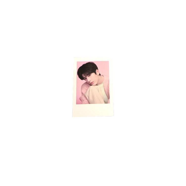 INOHERB Zhang Linghe He Youyi Qi Ding Wen Gan Photocards Single Card/One Click Full Set Purchase