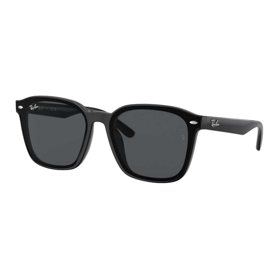RayBan RayBan Irregular Shape Sunglasses Unisex Black