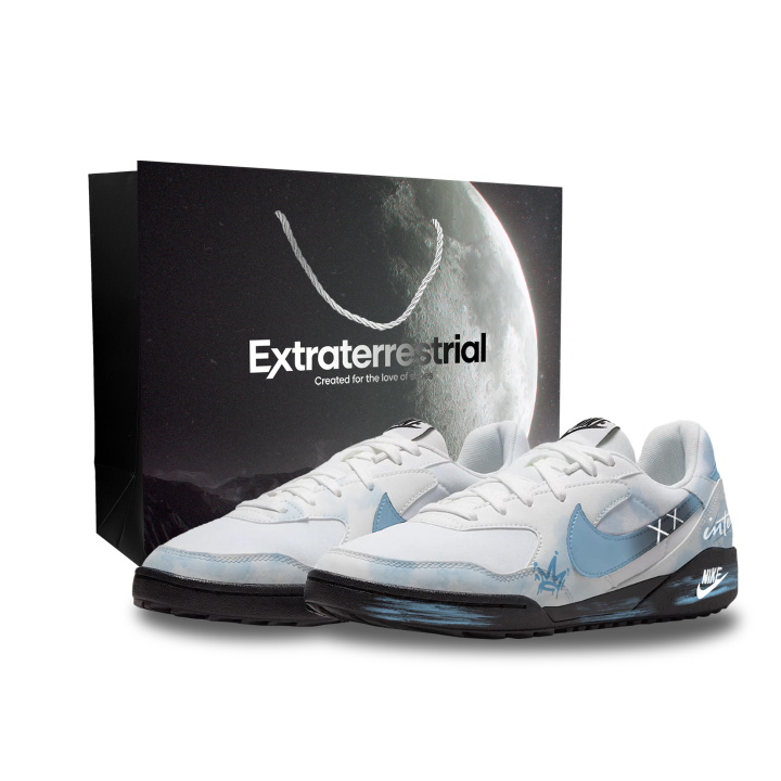 Nike Nike Terra Manta Low top Casual Shoes Unisex