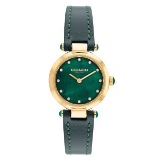 COACH Cary Wrist Watches Quartz Movement Cow Leather Strap Green Dial Women's Watch