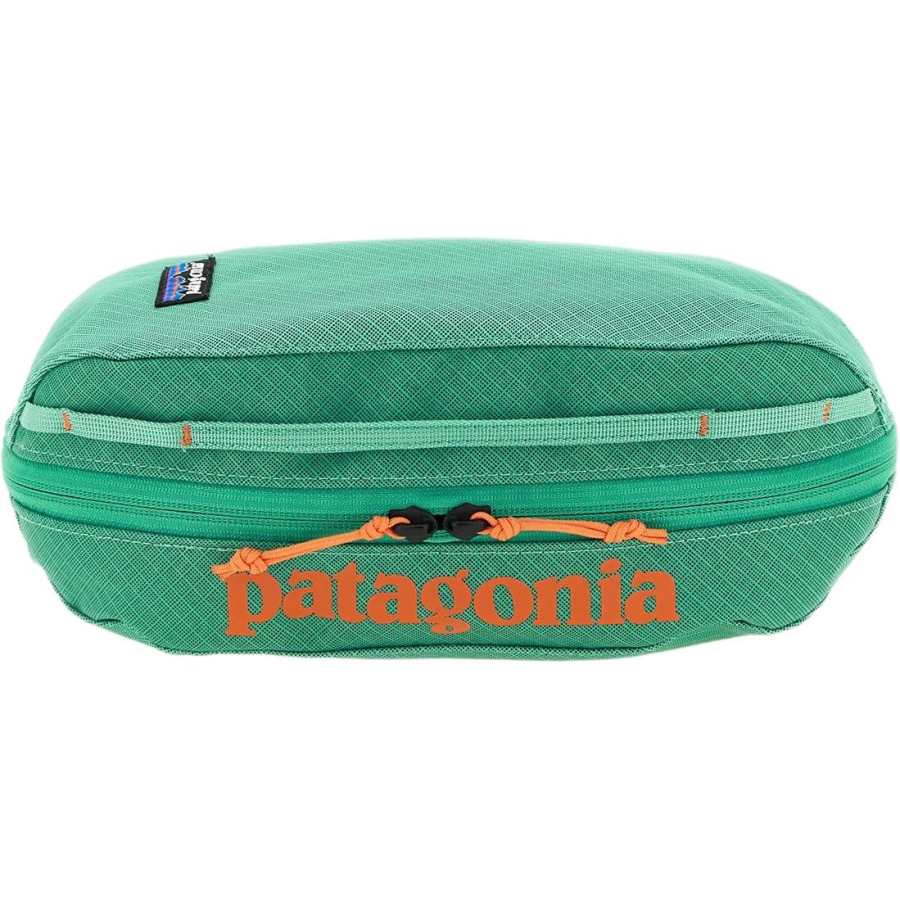 Patagonia Polyester Travel Storage Bag Men's Lake Green