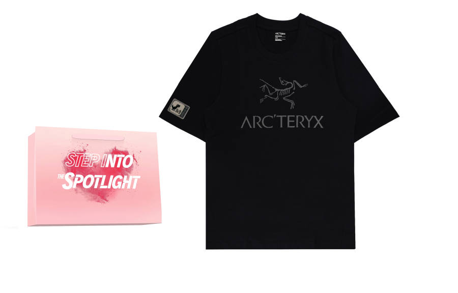 Arcteryx IONIA T Shirts Unisex Crew Neck Moderate