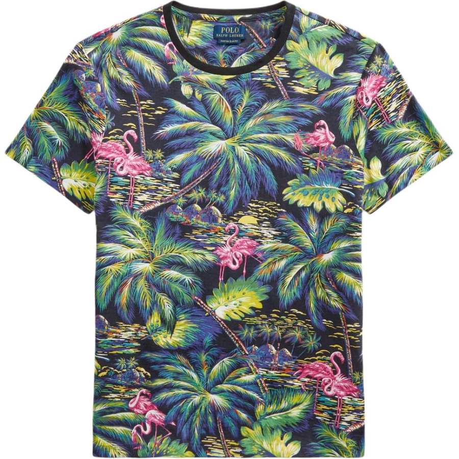Polo Ralph Lauren T Shirts Men's Multicolor Crew Neck Moderate