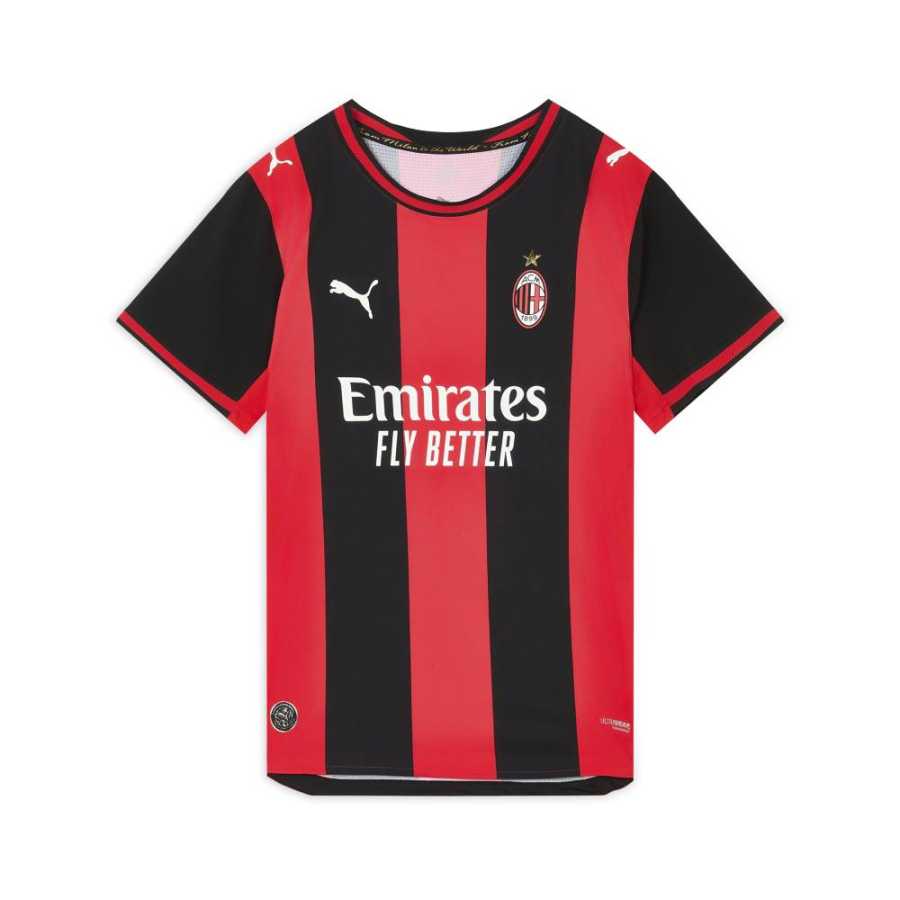 PUMA AC Beige Blue Soccer Jerseys Men's Black/Red Crew Neck Moderate
