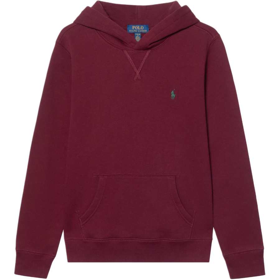 Polo Ralph Lauren Sweatshirt FW25 Kids'