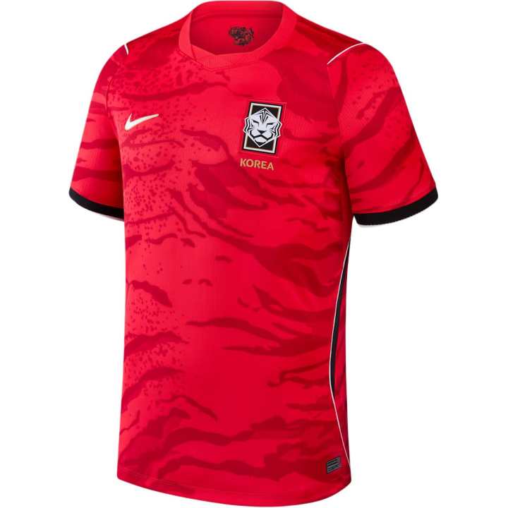 Nike Nike Korea National Team Soccer Jerseys Men's All Region Red Moderate