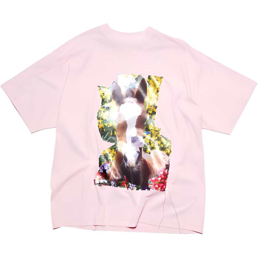Acne Studios Acne Studios T Shirt Women's Pink