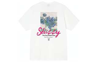 Stussy Post Modernist T Shirt